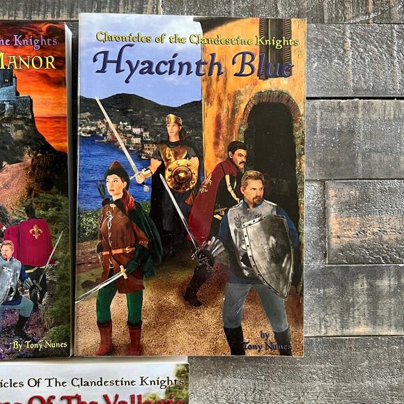 3 Book Lot Chronicles Of The Clandestine Knights: By Tony Nunes Fantasy Books - Picture 3 of 6